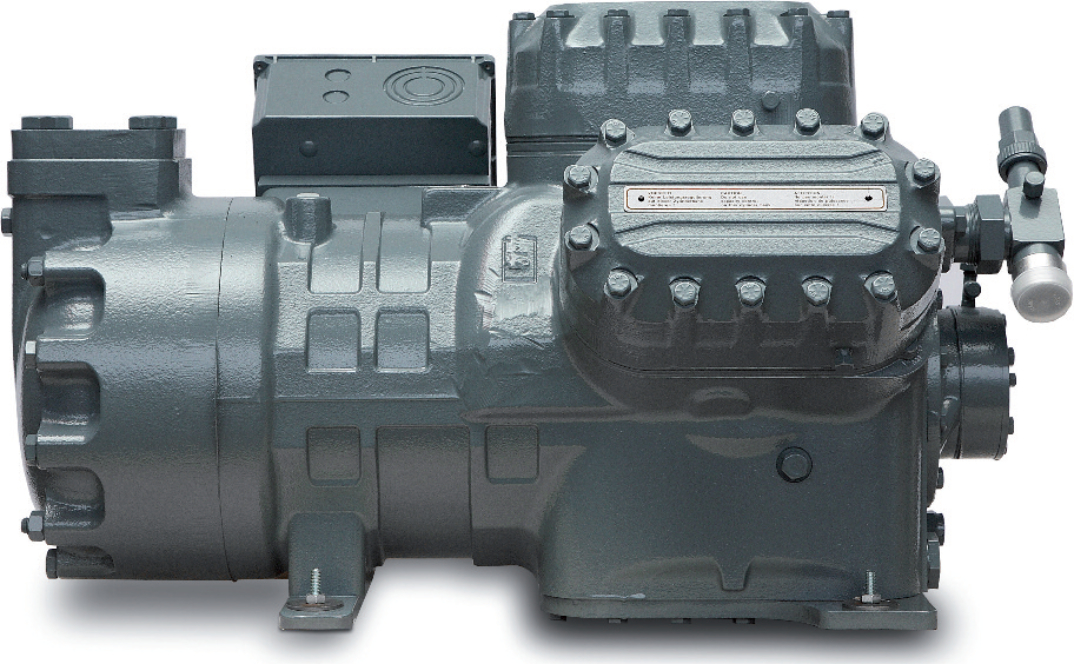  <p>Discus models</p>
